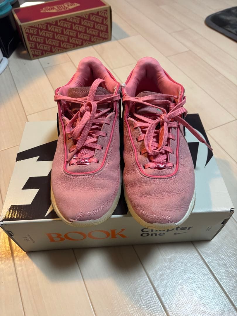 レブロン20 lebron20 バスケットボール 26センチ