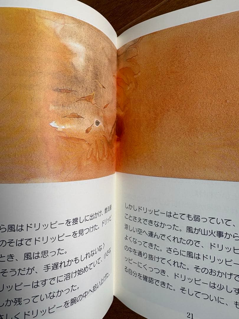 【ほぼ全巻未開封】フルセット　イングリッシュアドベンチャー　家出のドリッピー