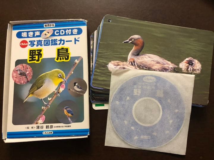 くもん 写真図鑑カード こん虫、野鳥