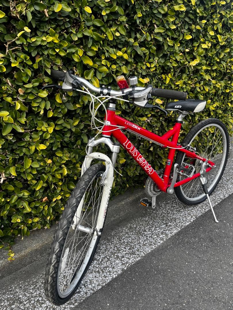 ルイガノ　バイク　4月末で処分