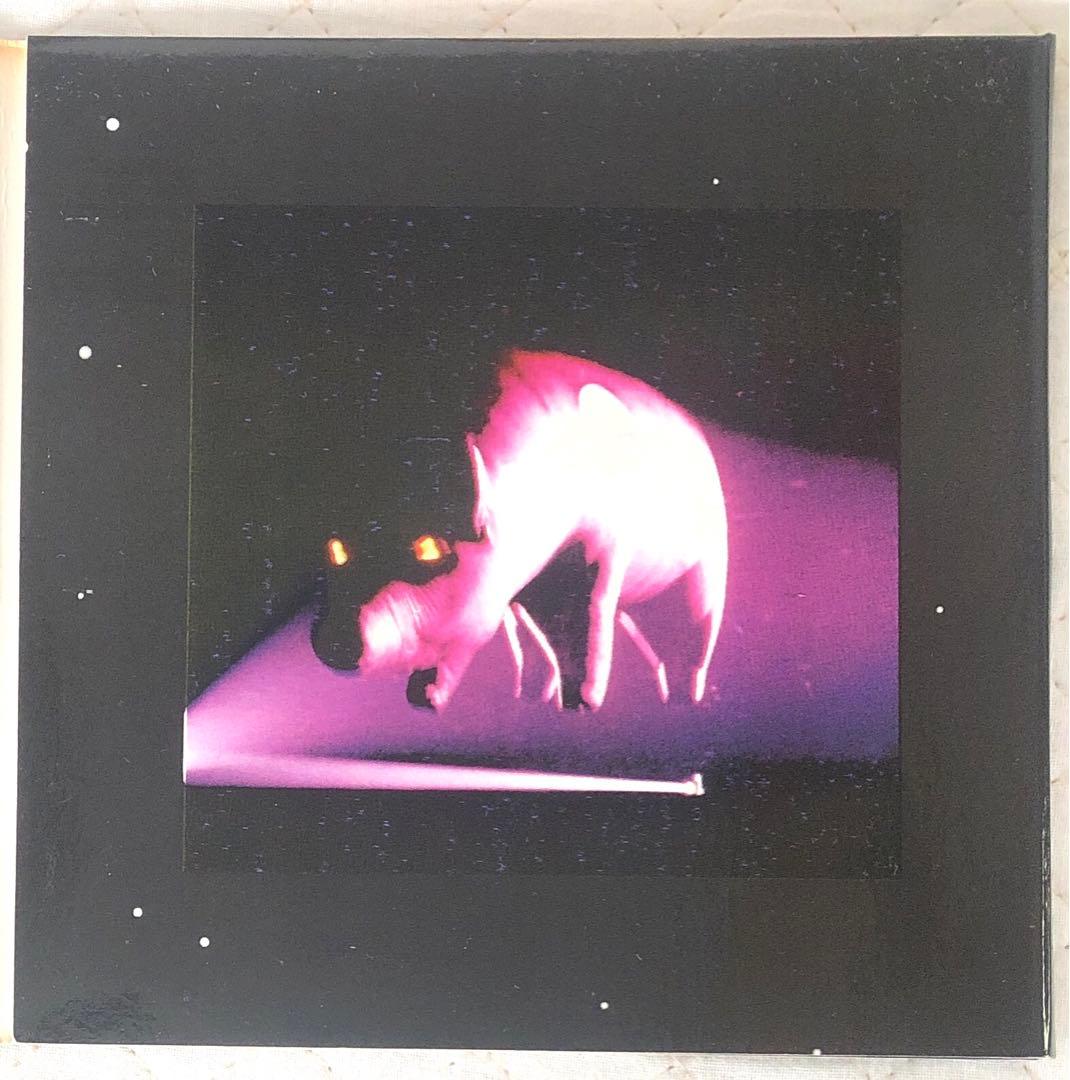 洋楽 Pink Floyd / Pandra's Box /