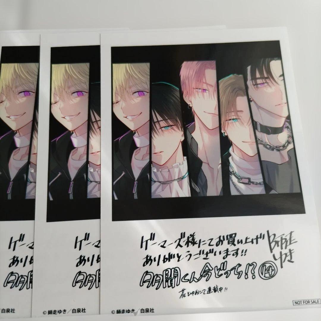 多聞くん今どっち!? 14　ゲーマーズ　特典　ブロマイド