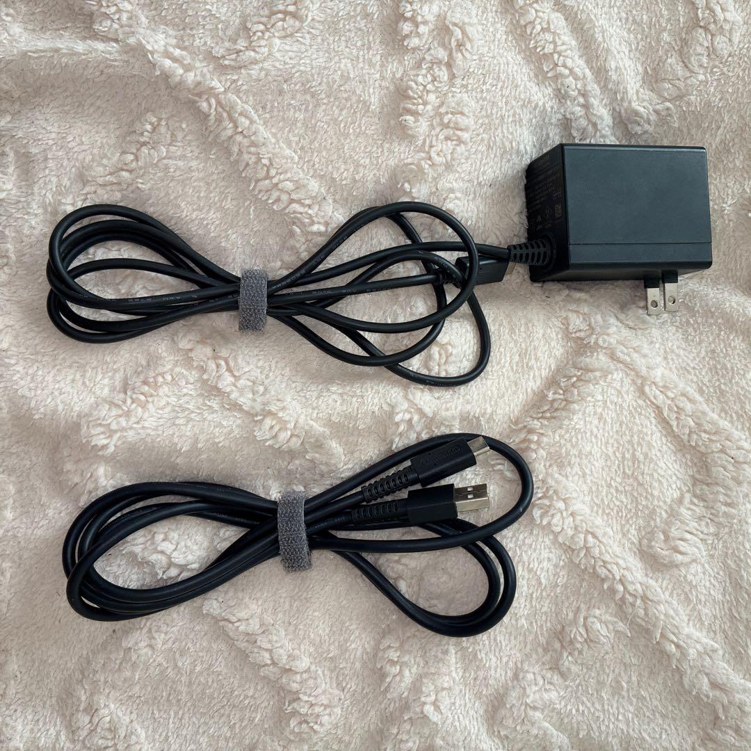 任天堂Switch本体ドッグ付き