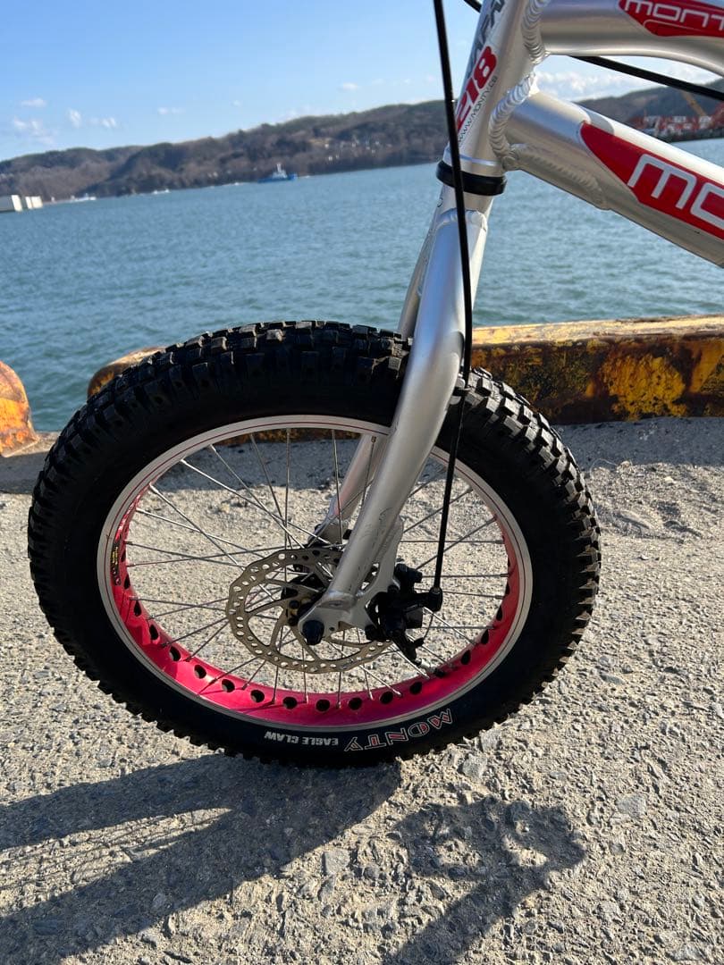 【引き取り限定】　トライアル用自転車　 MONTY 218 kamel J