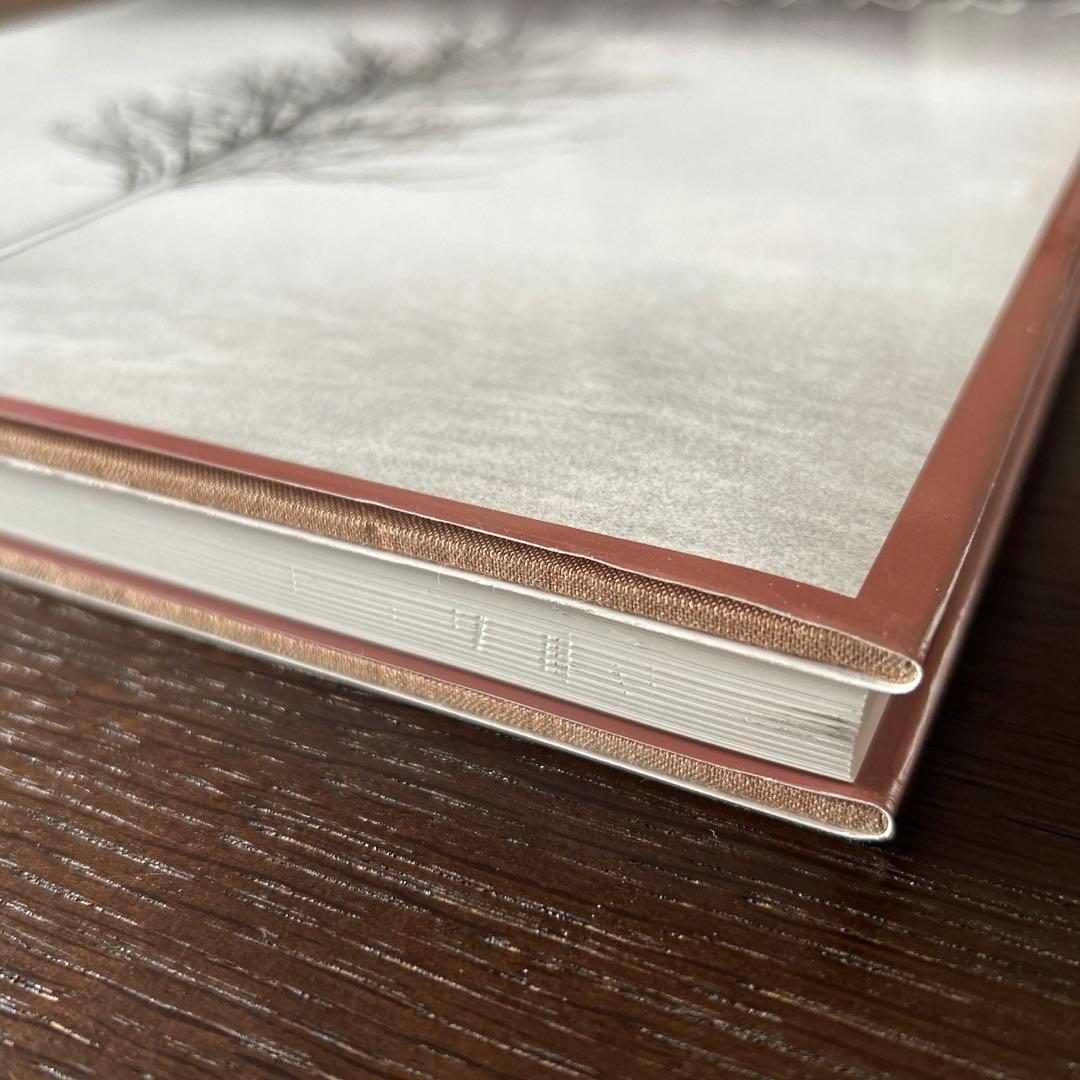 マイケルケンナ写真集 レトロスペクティヴ２