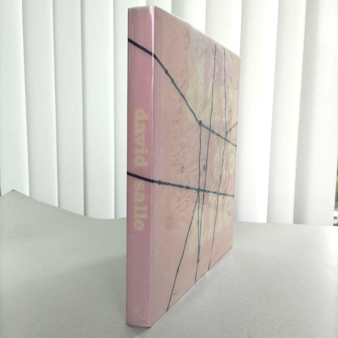 David Salle:davids alle/デヴィッド・サーレ 作品集