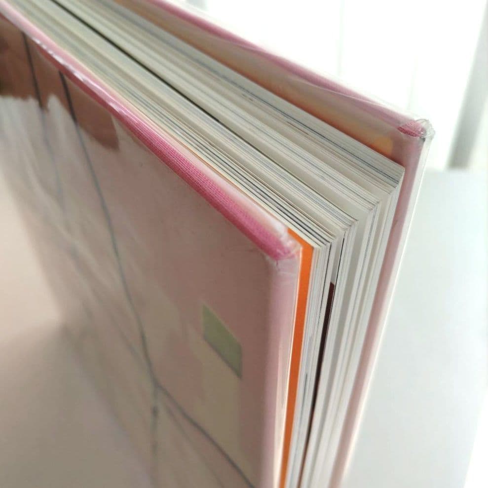 David Salle:davids alle/デヴィッド・サーレ 作品集