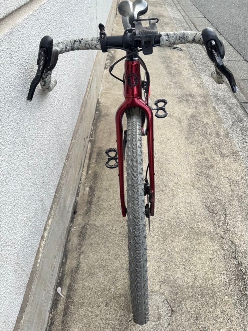 自転車本体 SALSA STORM CHASER 2021