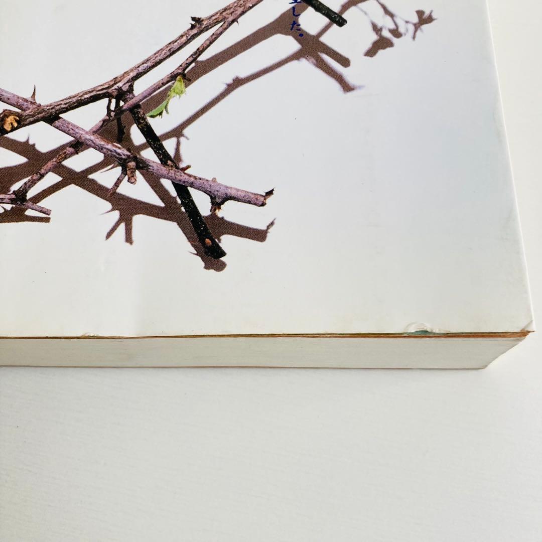 愛の錬金術　隠されてきたキリスト　上下巻　和尚ラジニーシ