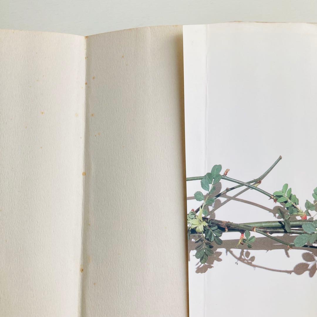 愛の錬金術　隠されてきたキリスト　上下巻　和尚ラジニーシ