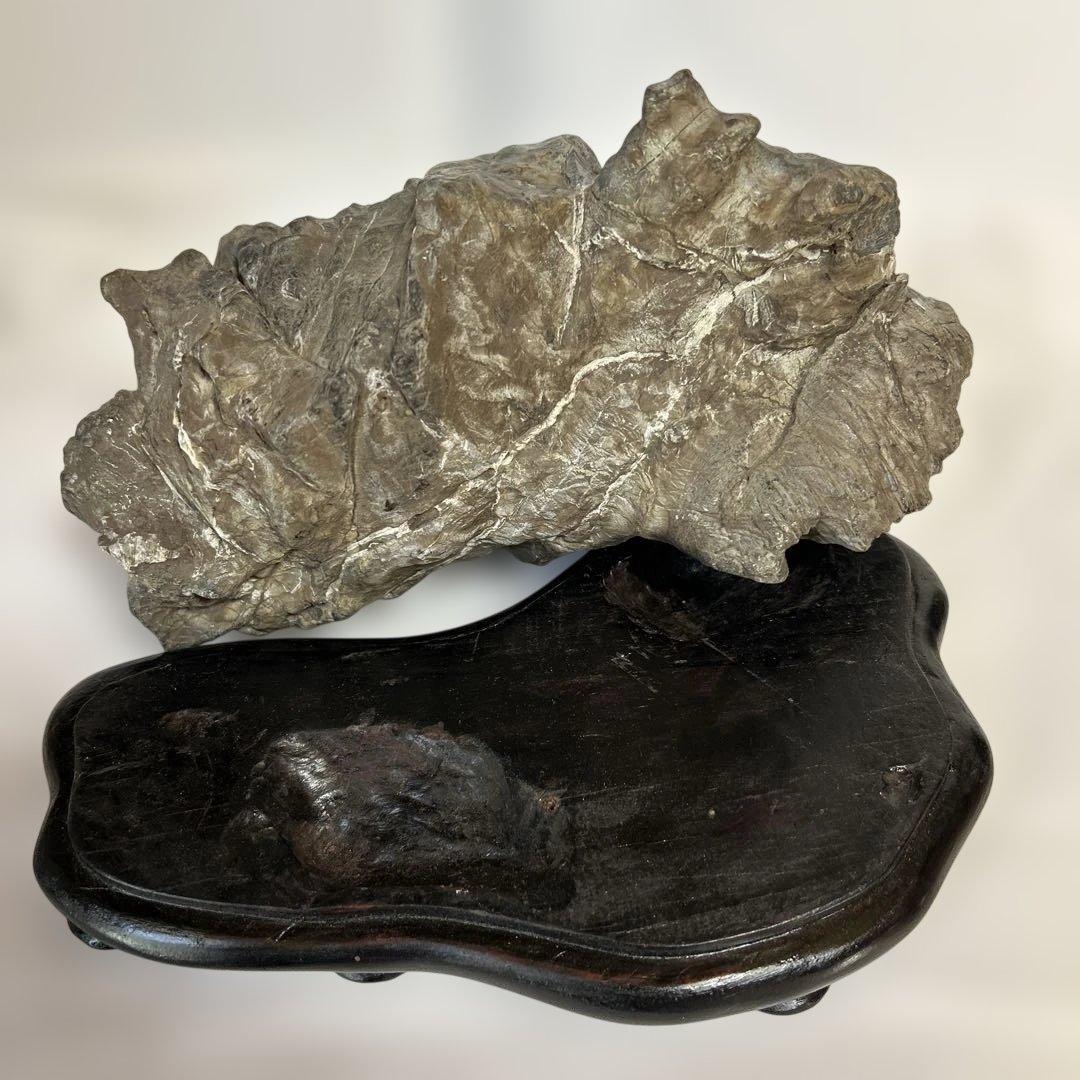 紀州古谷石 盆石