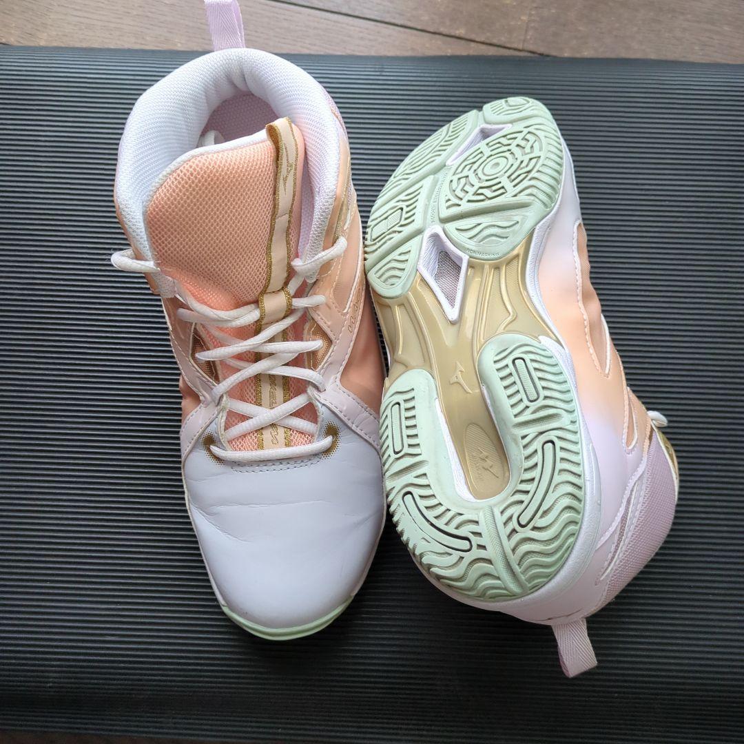 ミズノ　ウェーブダイバースLG４　25.0cm