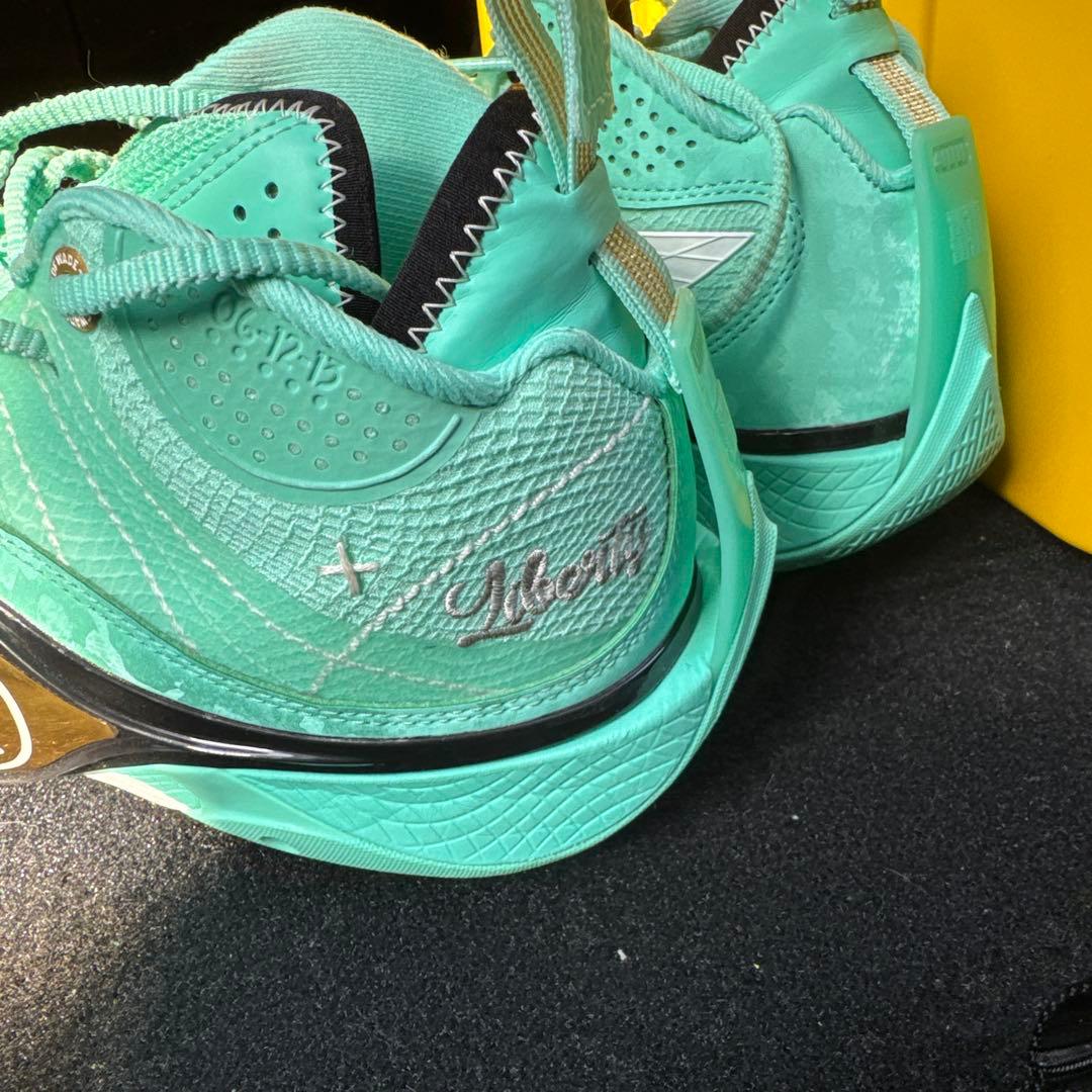 Wade Shadow 5 リーニン　バスケットシューズ