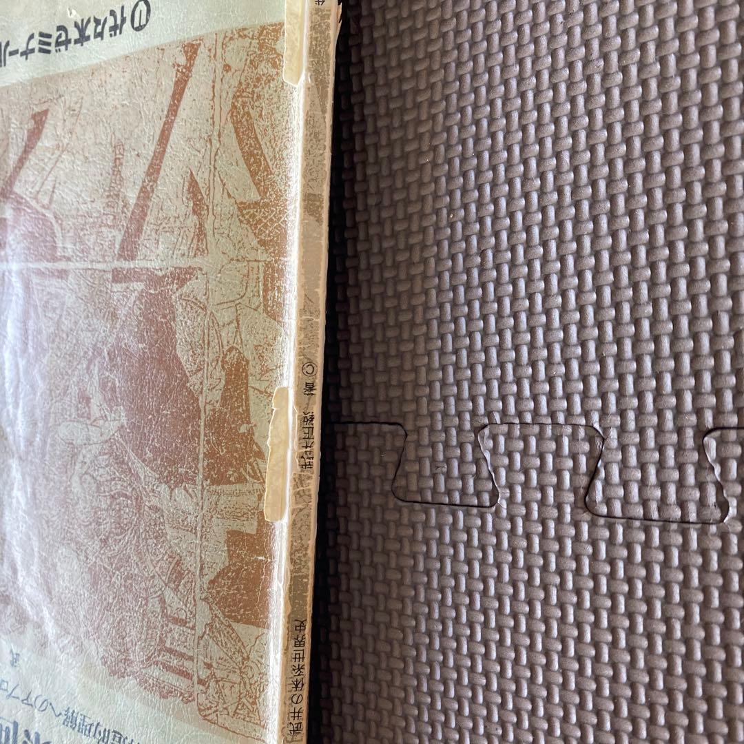 【入手困難】代ゼミテキスト 武井の体系世界史 構造的理解へのアプローチ 武井正教