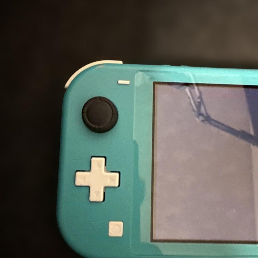 Switchライト　本体　ジャンク品