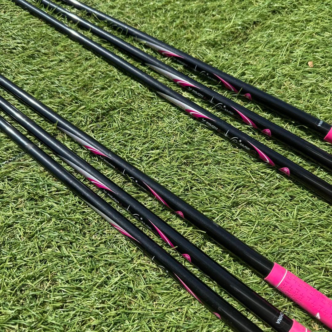 ワールドイーグル FL-01V2 レディース アイアンセット ブラックベリー