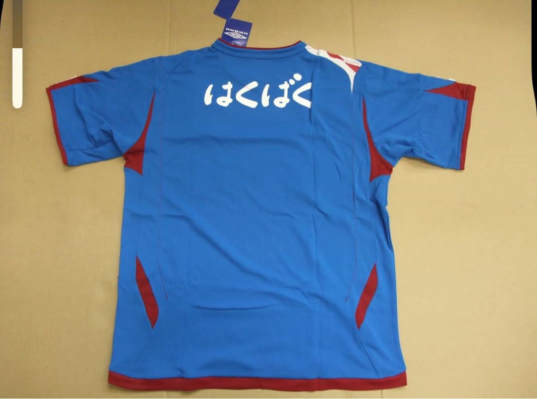 2008 ヴァンフォーレ甲府 34名 直筆サイン入り H ユニフォーム