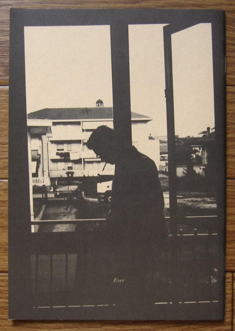 I'd never willingly do you harm　限定500部