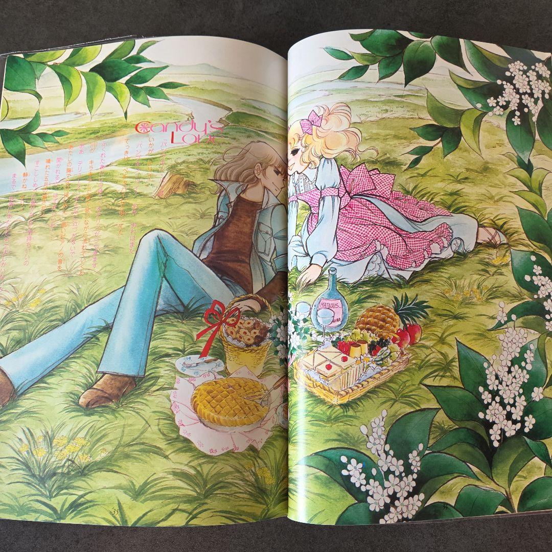 キャンディ・キャンディ イラスト集