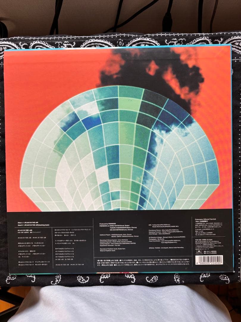 フィッシュマンズ　ゆらめき IN THE AIR 12inch
