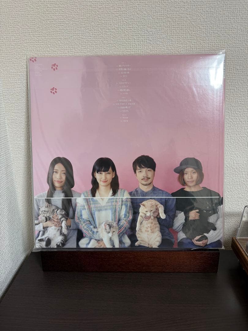 新品 1stプレス きのこ帝国 猫とアレルギー 廃盤レコード LP アナログ