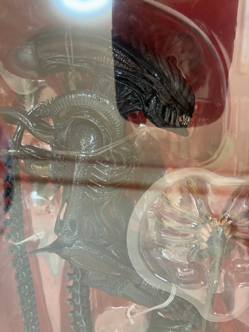 t*7様 【未開封】　ネカ　エイリアン　ロムルス　フィギュア