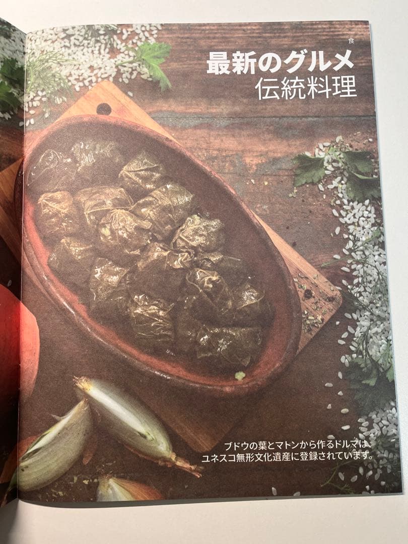 【2025年関西万博特別出版】アゼルバイジャン パビリオン非売品 1点のみ