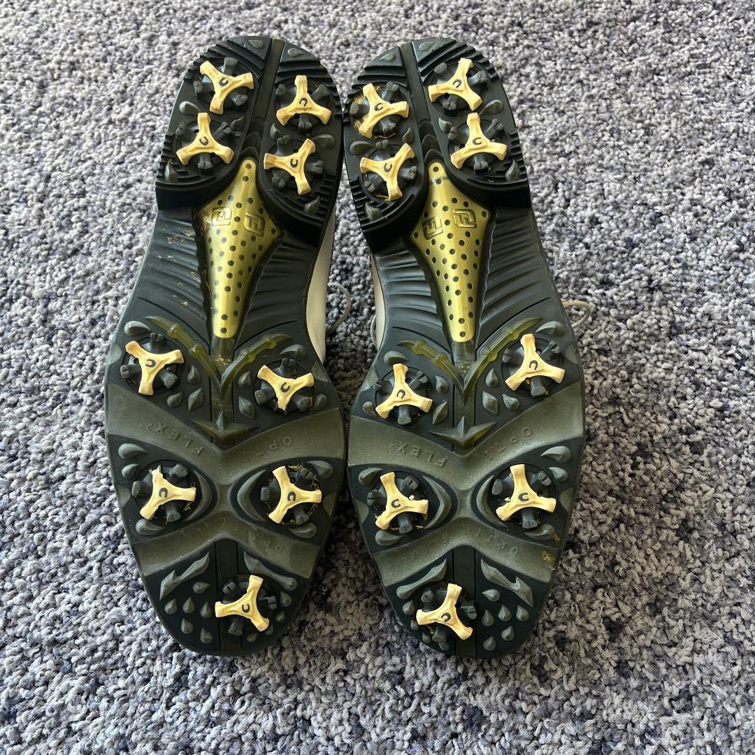 FJアイコン国内未発表　 ホワイト/レッド 収納袋付き