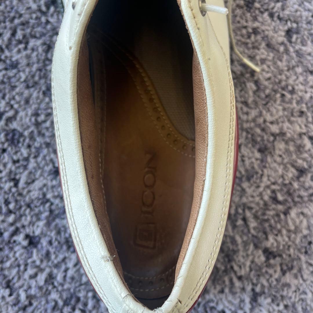 FJアイコン国内未発表　 ホワイト/レッド 収納袋付き