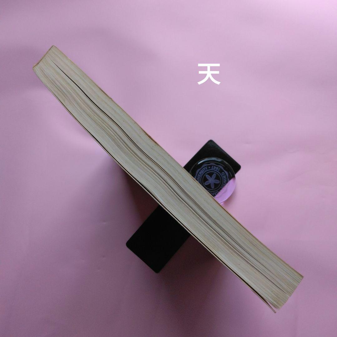 大型本 ピカソ展カタログ（独語) パステル画 鉛筆画 水彩画 デュッセルドルフ