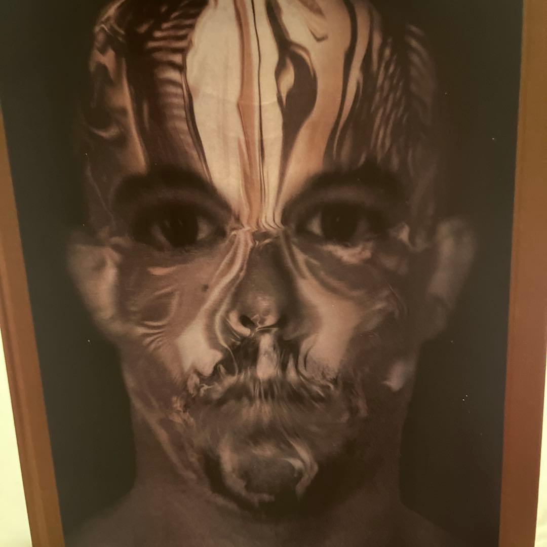 ALEXANDER McQUEEN SAVAGE BEAUTY /洋書