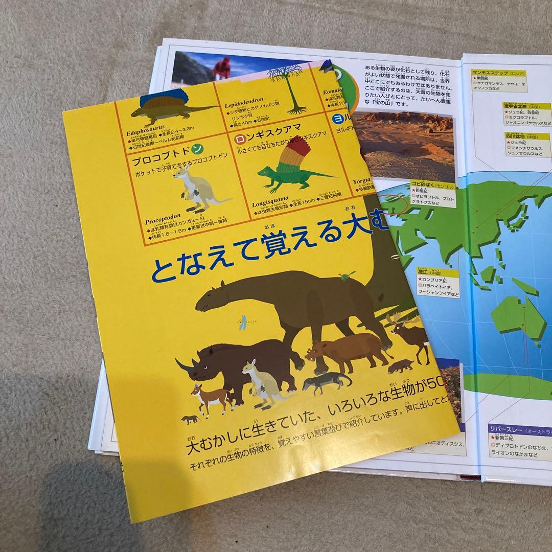 【15冊セット】小学館の図鑑NEO／NEOぷらす