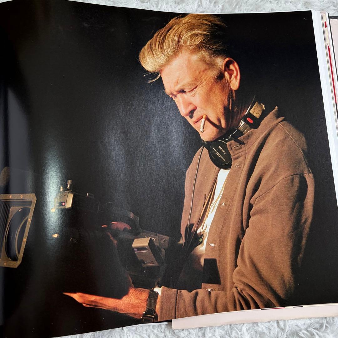 希少　David Lynch dark splendor