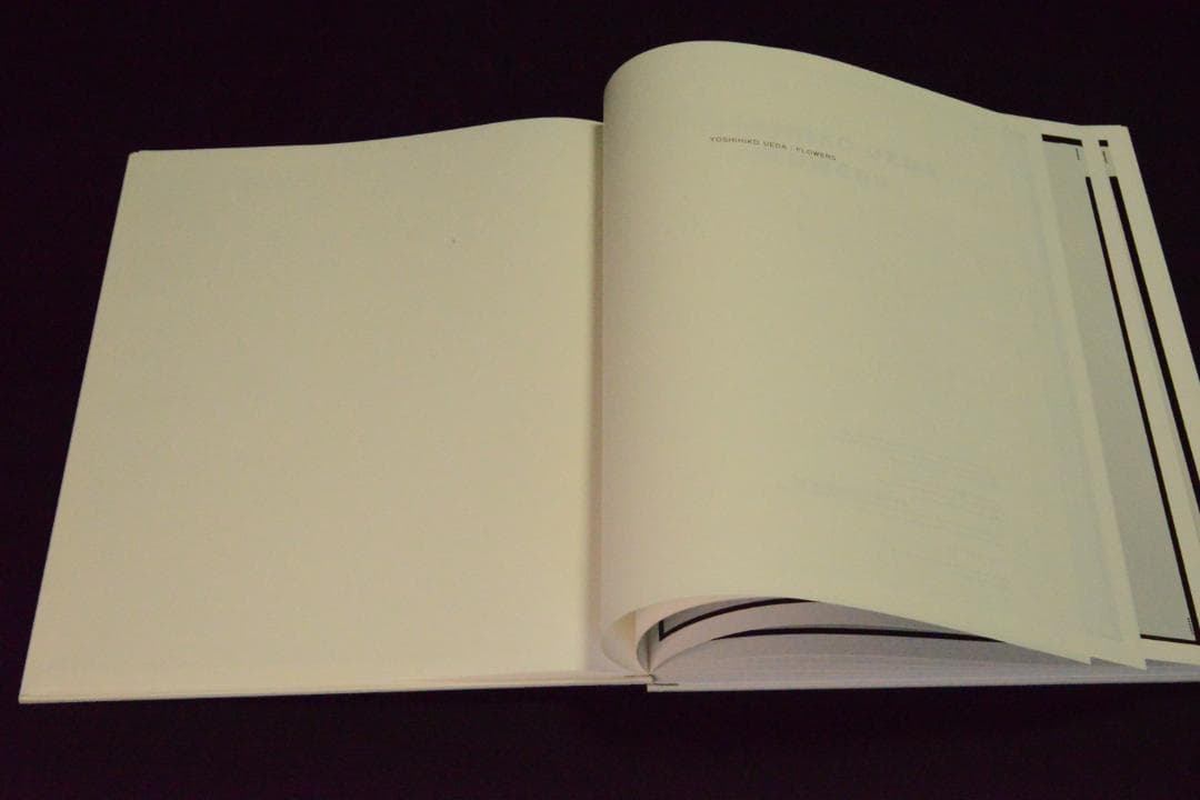 【Yoshihiko Ueda：Flowers】上田義彦★★大幅に値下げしました