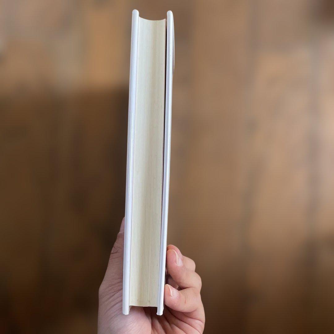 善導浄土教の研究 三枝樹 隆喜著