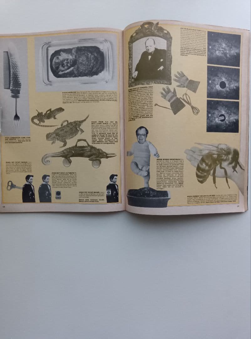 80s/VINTAGE/HIGH−TIMES/MAY/1981/洋雑誌。