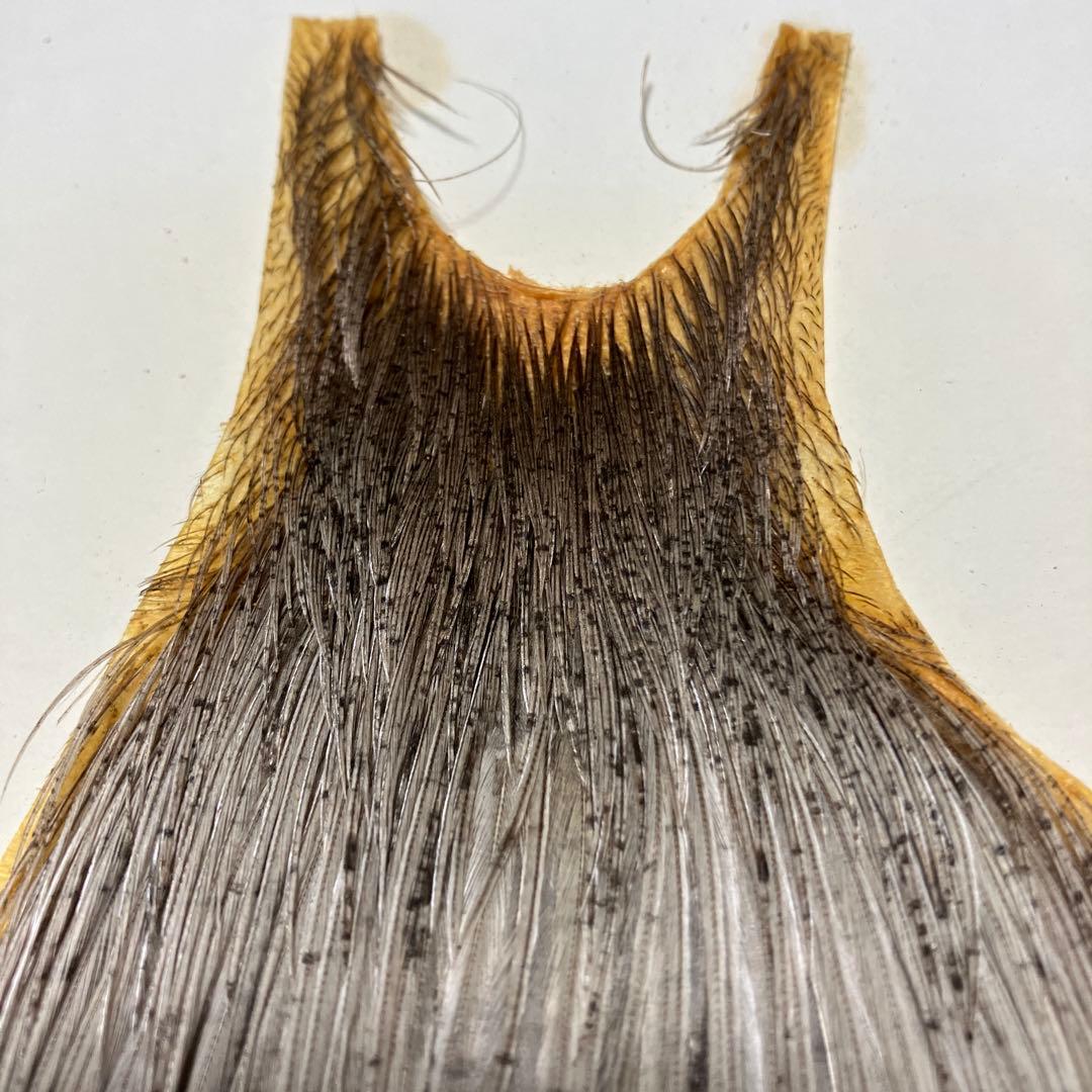 メッツハックル ＃2【ライト ブルー ダン】