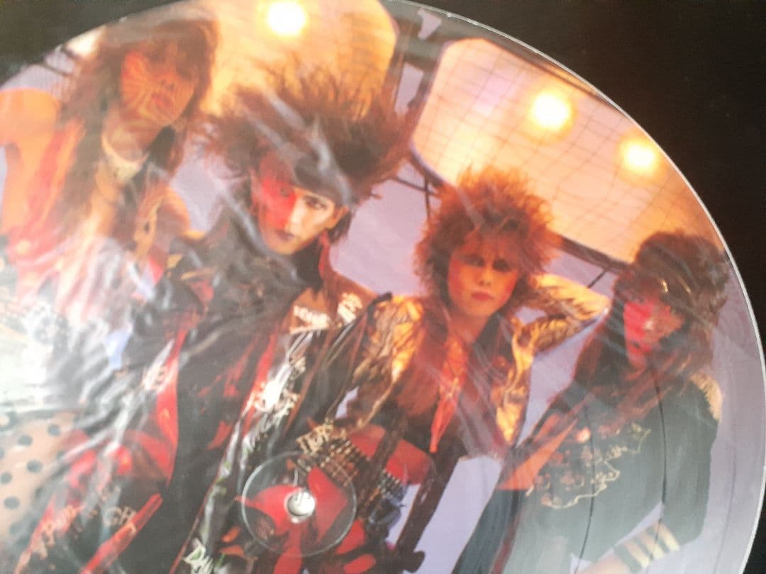 邦楽 DEADEND DEADLINE LP PICTUREDISC