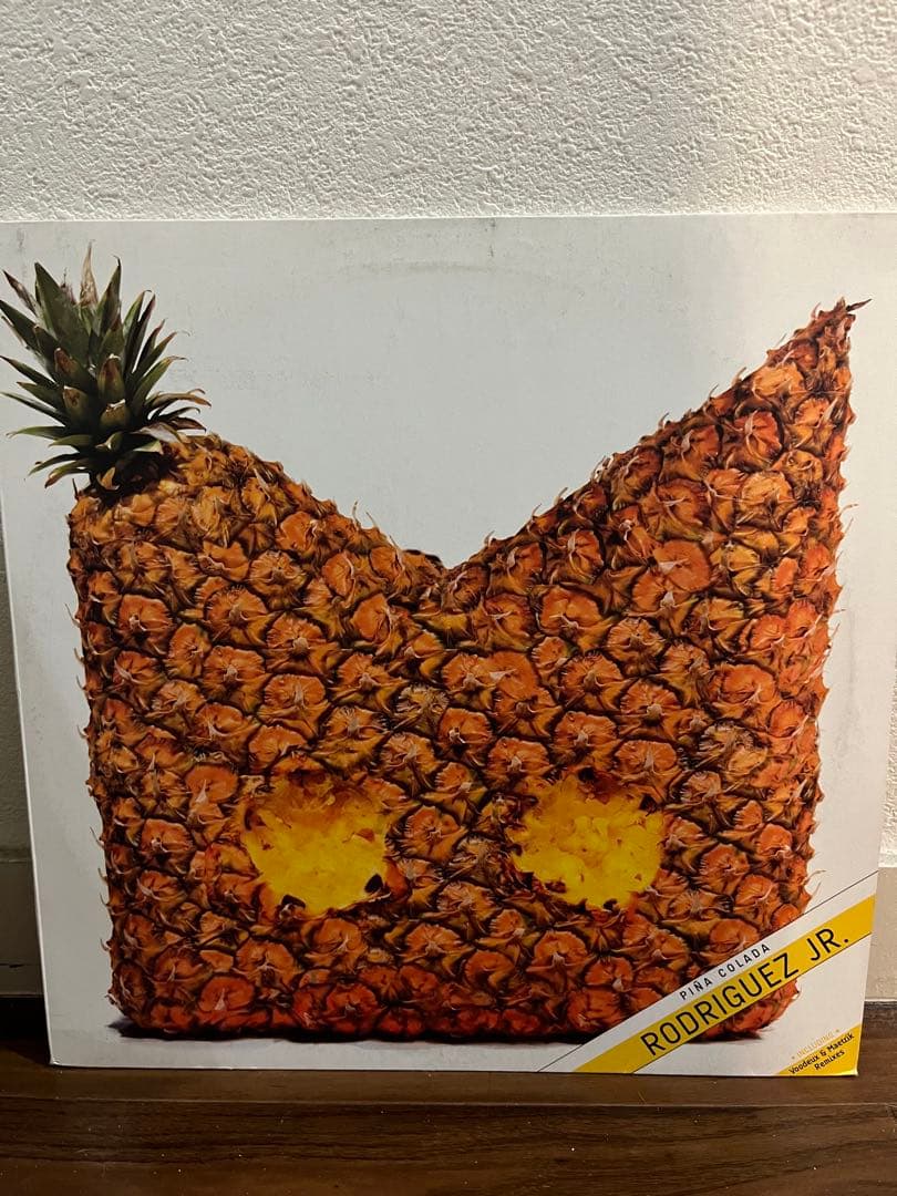 ハウス・テクノ・ダブ　12inchレコード20枚まとめ売り