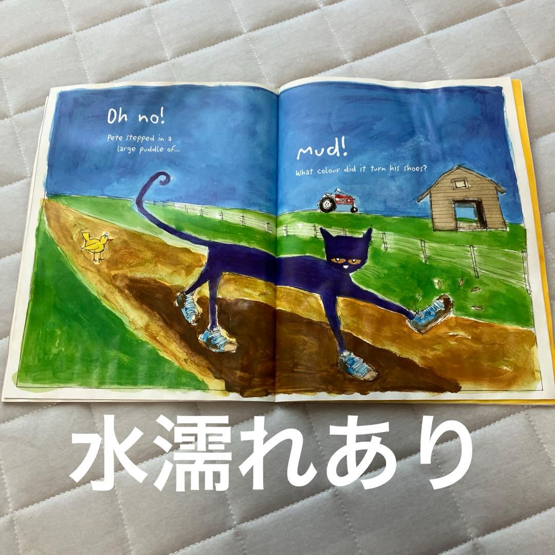 【ジャンク品】英語絵本　まとめ売り