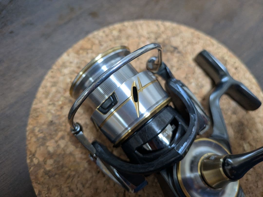 ルビアス LT3000XH SLPワークス RCS55 スプール ベアリング追加