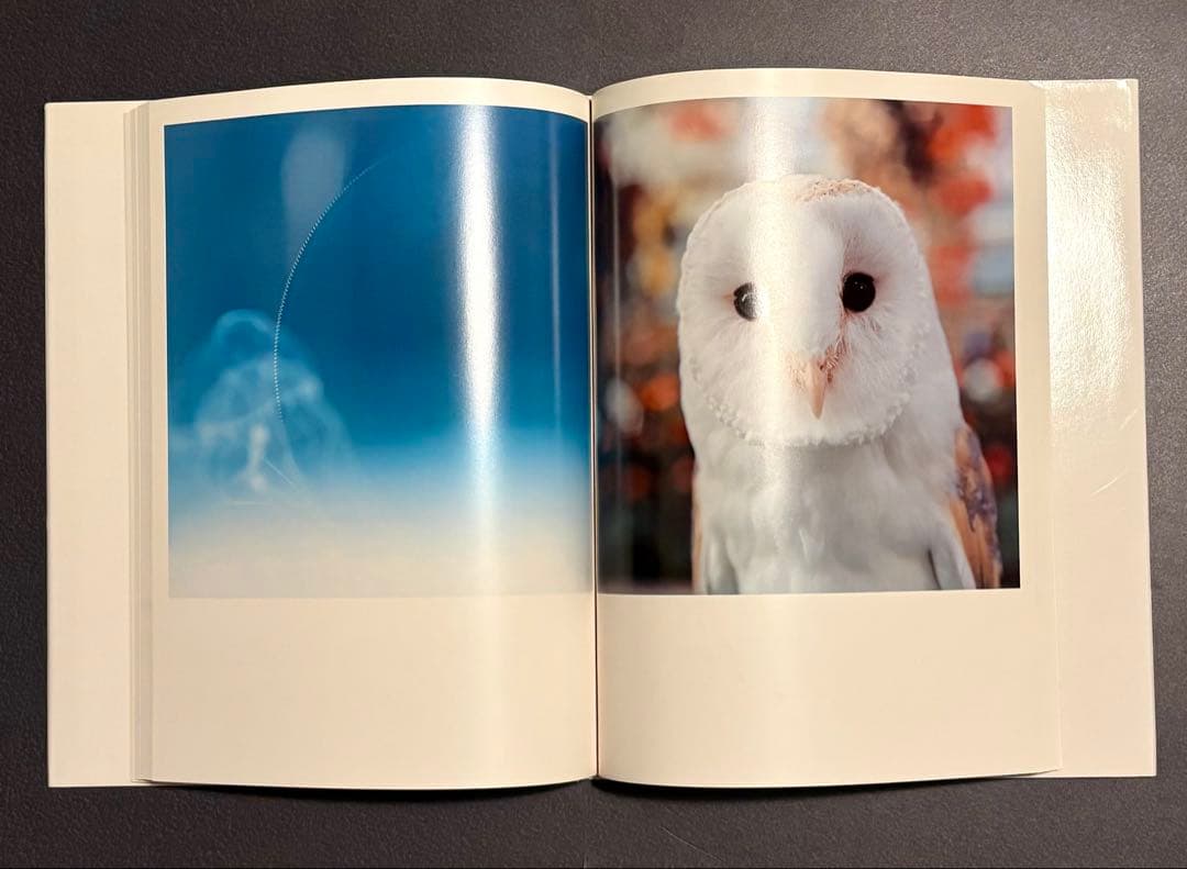 川内倫子 写真集 AIRA