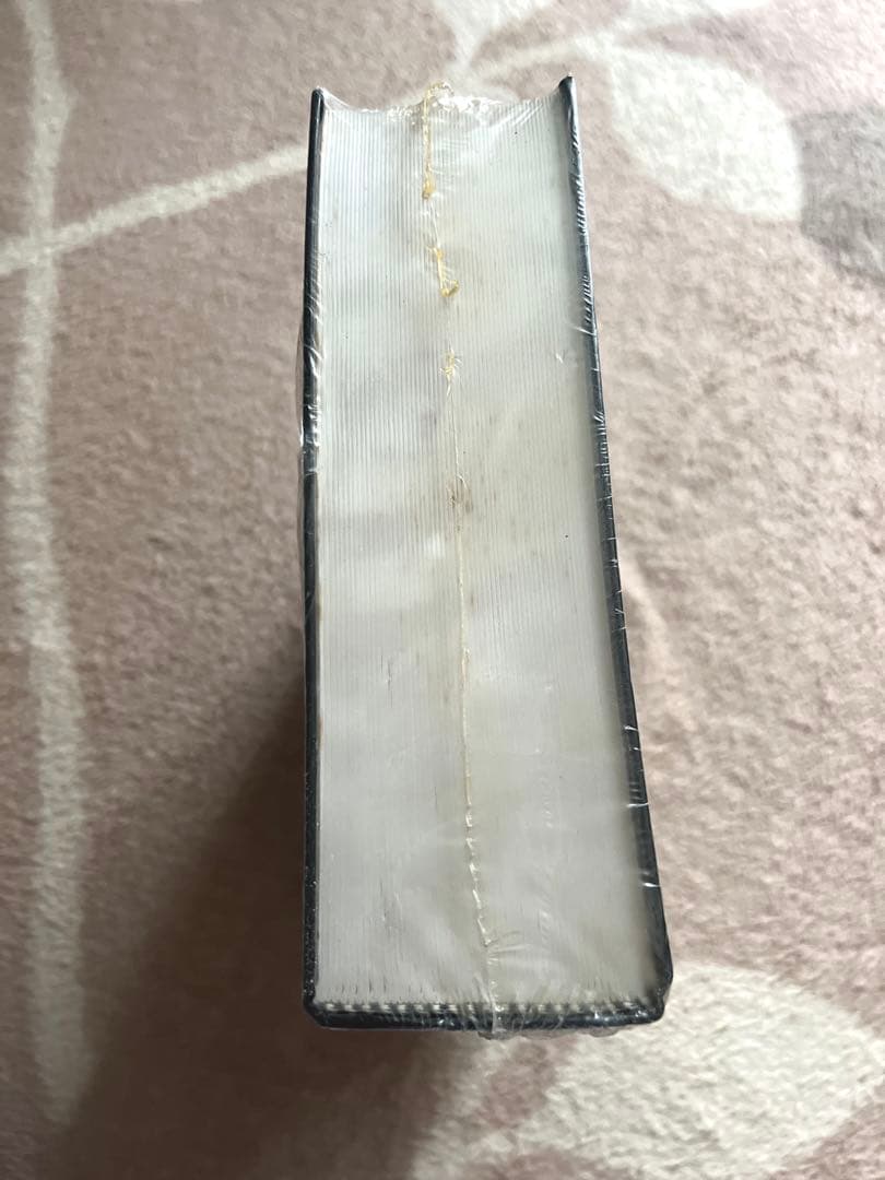 【未開封】AURELIO アウレリオ / ブラジル　ポルトガル語　辞書　国語辞典