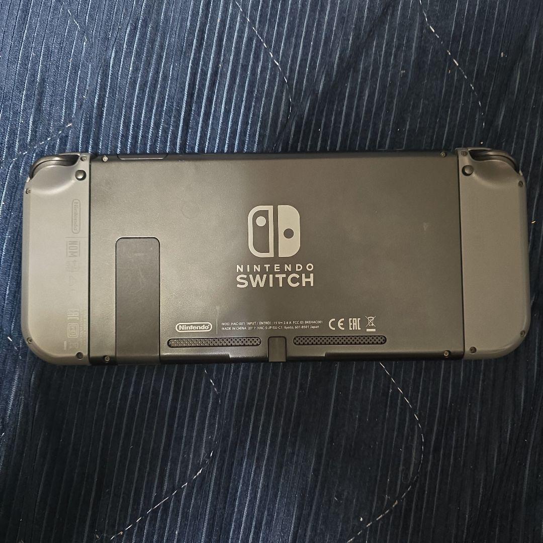 Nintendo Switch グレー 本体＋ケース