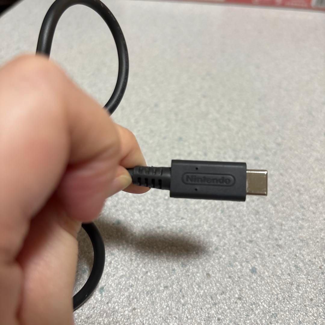 Nintendo Switch Lite本体