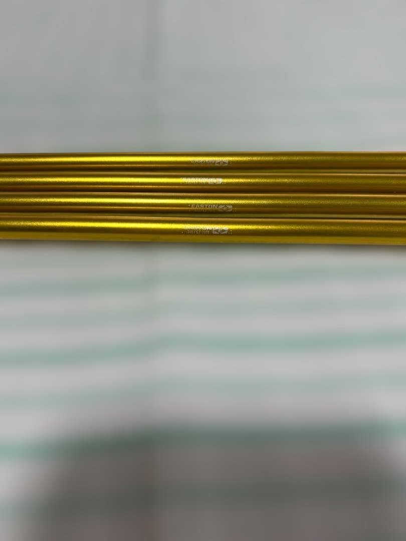 Easton Gold 24（雪山テント用ペグ）