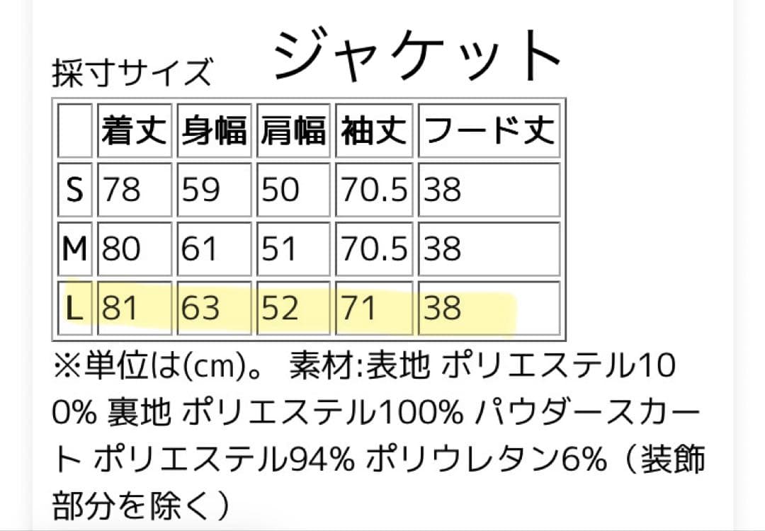 クイックシルバー　スノーボードウェアGORE-TEX2レイヤー上下セットLサイズ