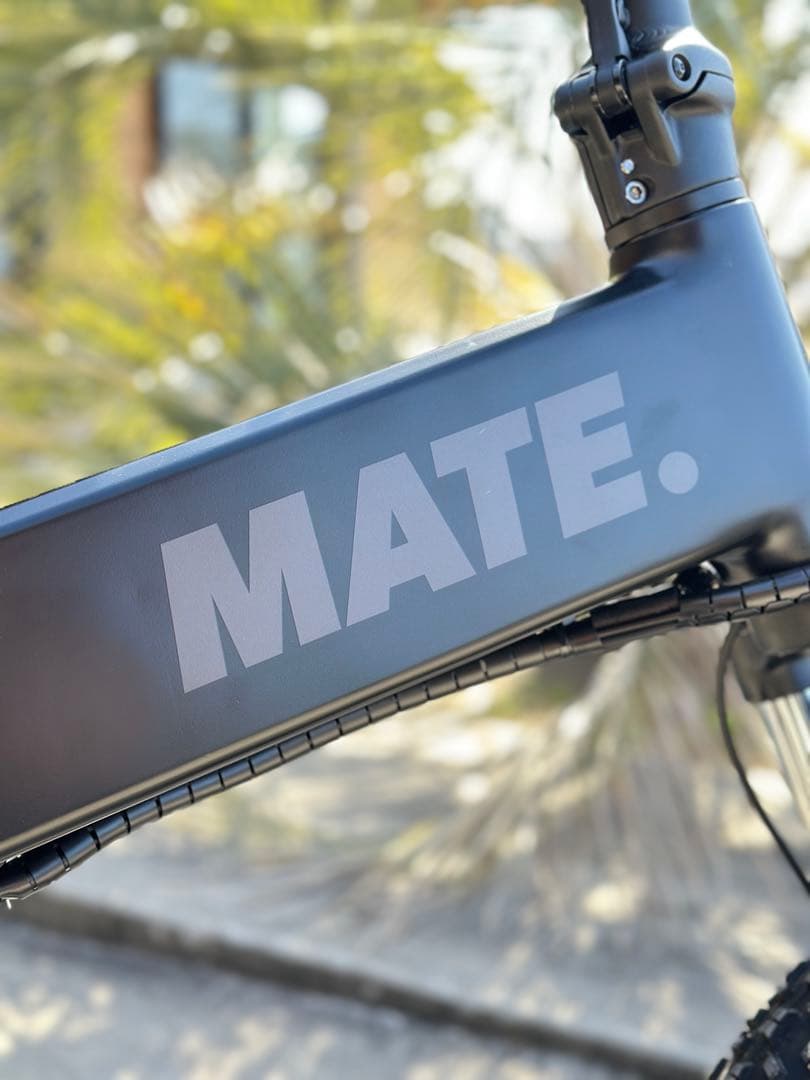 【美品】MATE X 250W eバイク 電動自転車 Subdued Black
