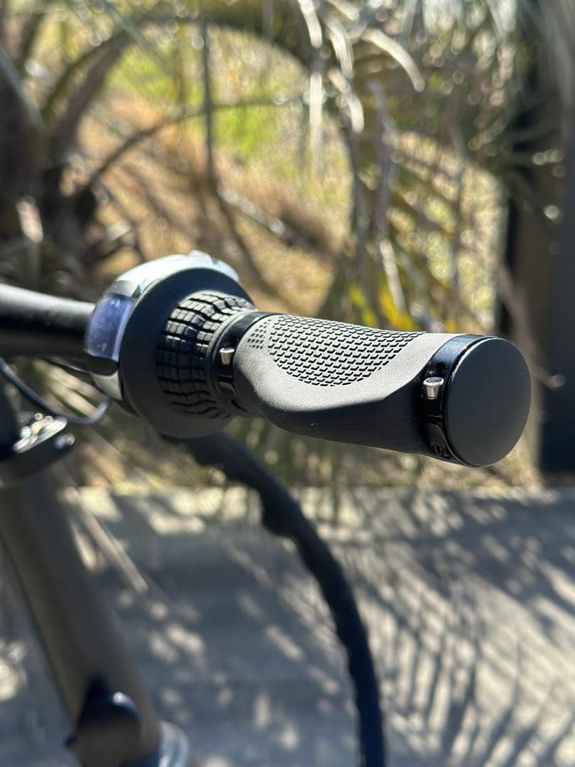 【美品】MATE X 250W eバイク 電動自転車 Subdued Black