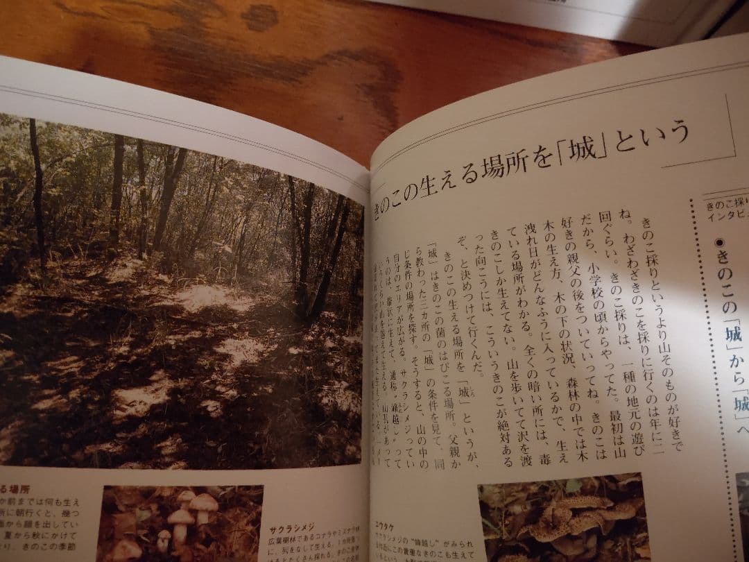 『南アルプス 白州 1』森の水 森の鳥 森のきのこ サントリー白州蒸溜所 稀覯本